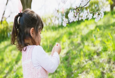 Budget Escapes for Every Season: Travel Smart Year-Round