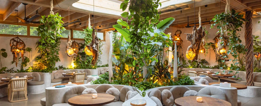 Where to Eat in L.A.: All 24 Michelin-Starred Restaurants for 2025